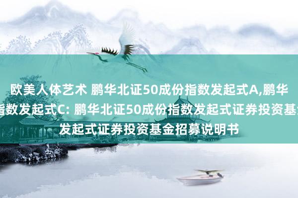 欧美人体艺术 鹏华北证50成份指数发起式A,鹏华北证50成份指数发起式C: 鹏华北证50成份指数发起式证券投资基金招募说明书