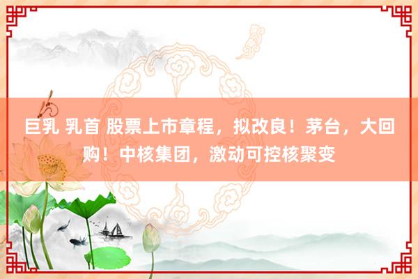 巨乳 乳首 股票上市章程，拟改良！茅台，大回购！中核集团，激动可控核聚变