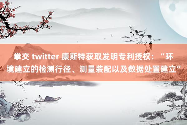 拳交 twitter 康斯特获取发明专利授权：“环境建立的检测行径、测量装配以及数据处置建立”