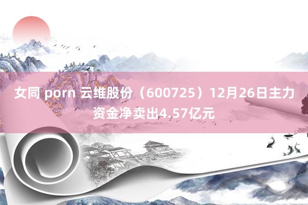 女同 porn 云维股份（600725）12月26日主力资金净卖出4.57亿元