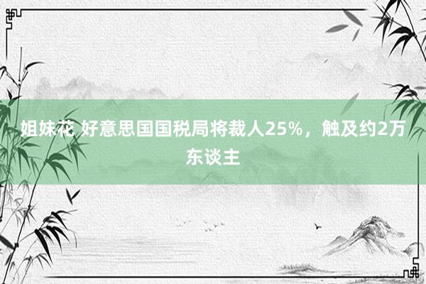 姐妹花 好意思国国税局将裁人25%，触及约2万东谈主