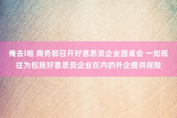 俺去l啦 商务部召开好意思资企业圆桌会 一如既往为包括好意思资企业在内的外企提供保险