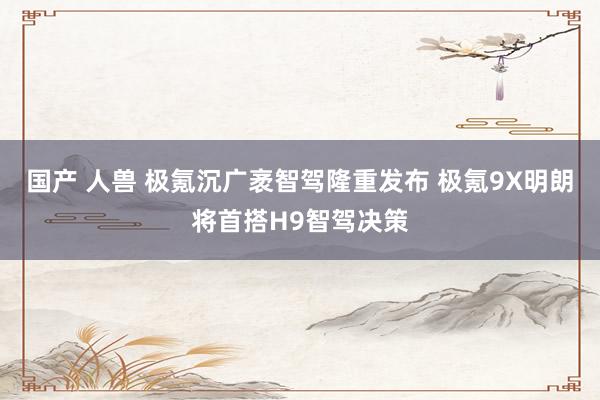 国产 人兽 极氪沉广袤智驾隆重发布 极氪9X明朗将首搭H9智驾决策