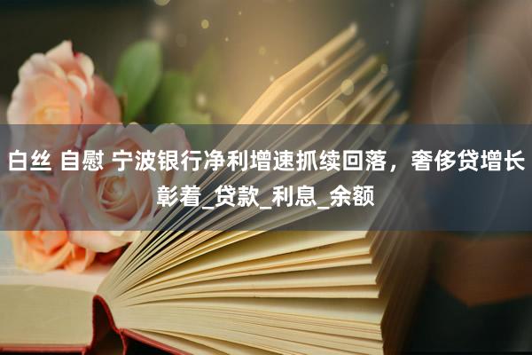 白丝 自慰 宁波银行净利增速抓续回落，奢侈贷增长彰着_贷款_利息_余额