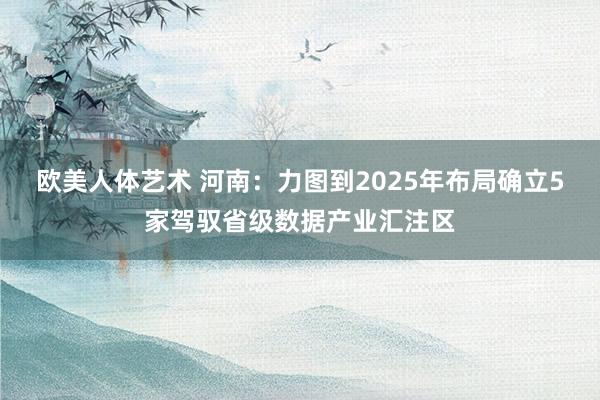 欧美人体艺术 河南：力图到2025年布局确立5家驾驭省级数据产业汇注区
