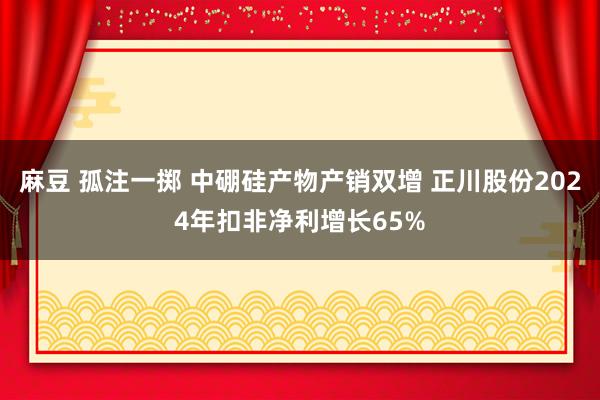 麻豆 孤注一掷 中硼硅产物产销双增 正川股份2024年扣非净利增长65%