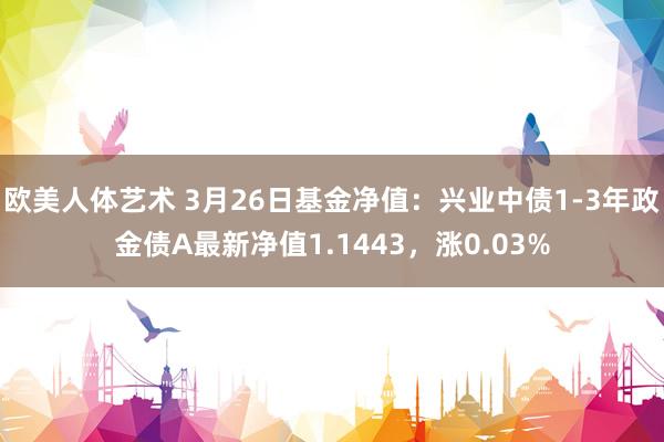 欧美人体艺术 3月26日基金净值：兴业中债1-3年政金债A最新净值1.1443，涨0.03%