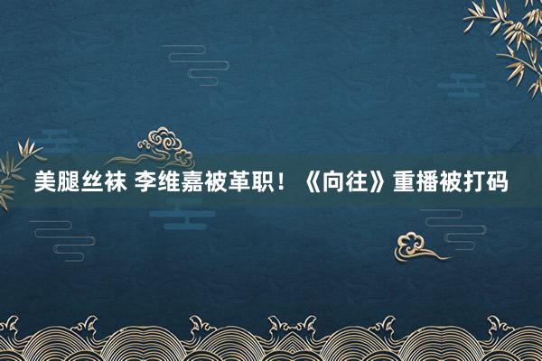 美腿丝袜 李维嘉被革职！《向往》重播被打码